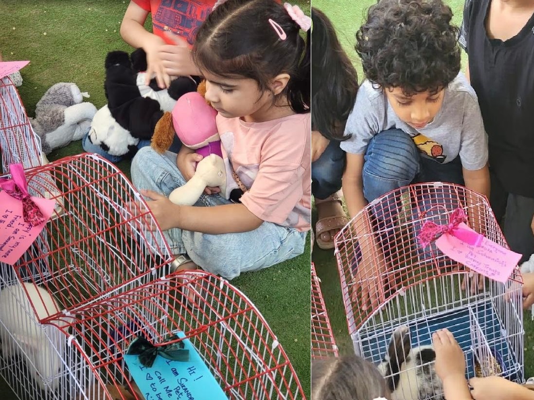 Pets Day